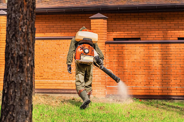 Bed Bug Clearance Verification and Documentation in Madeira